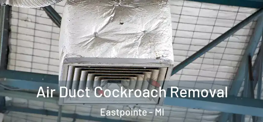 Air Duct Cockroach Removal Eastpointe - MI