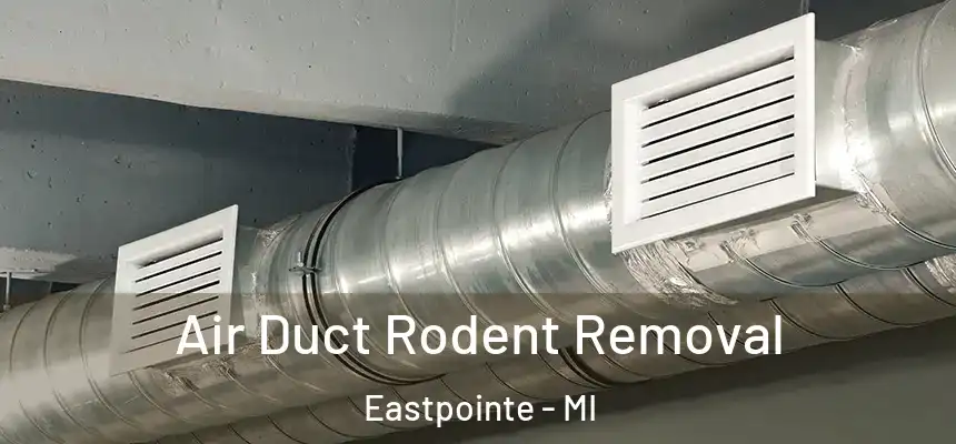  Air Duct Rodent Removal Eastpointe - MI