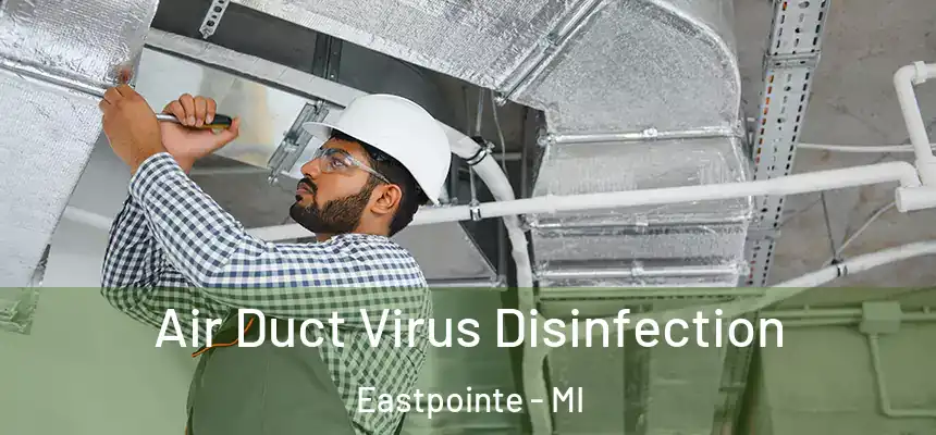 Air Duct Virus Disinfection Eastpointe - MI