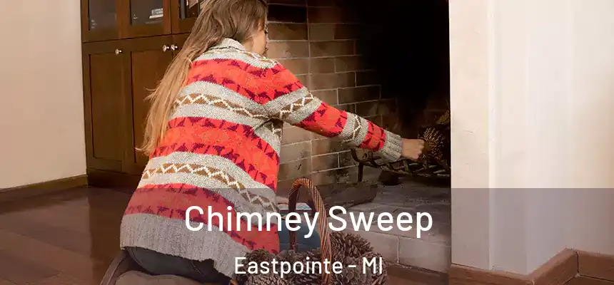 Chimney Sweep Eastpointe - MI