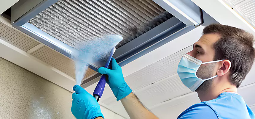 Proactive Dryer Vent & Auxiliary Duct Pollen Cleanup in Eastpointe, MI