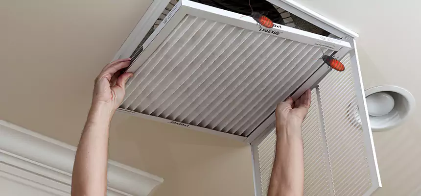 Our Insect Removal from Air Ducts Services in Eastpointe, MI