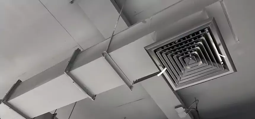 Our Rodent Droppings In Vents Services in Eastpointe, MI