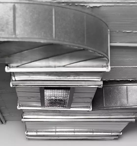 Professional Air Duct Pet Hair Removal in Eastpointe, MI