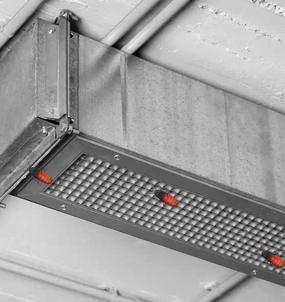Affordable Insect Removal from Air Ducts in Eastpointe, MI