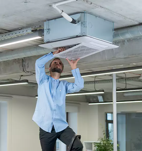 Advanced Rodent Droppings In Vents in Eastpointe, MI