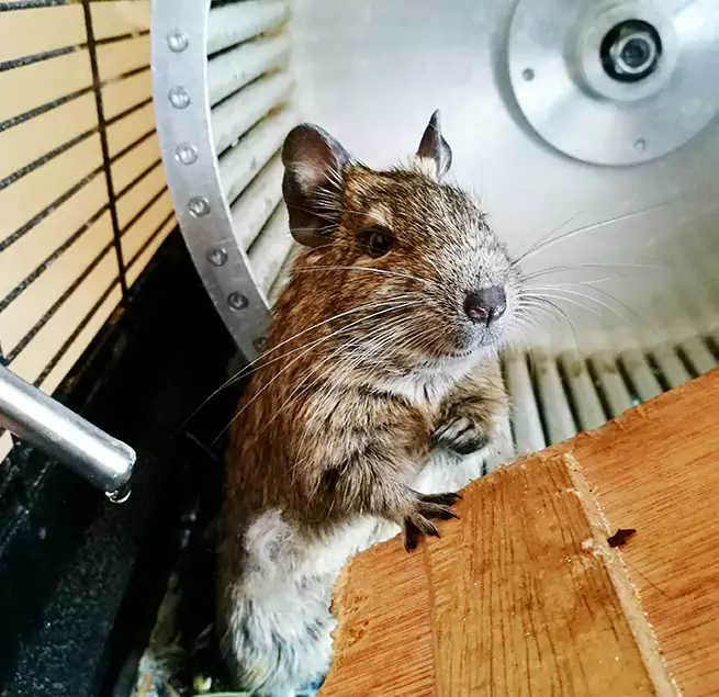 Why Homeowners & Businesses Trust Us Eastpointe, MI