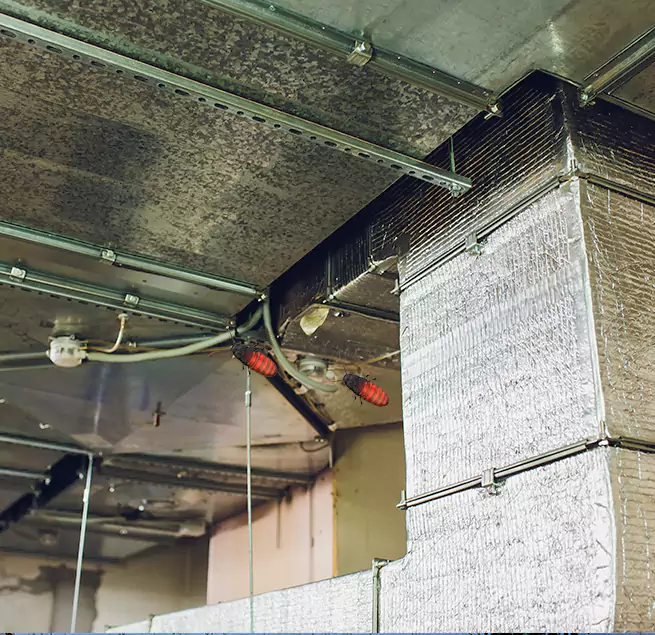 Why Homeowners & Businesses Trust Us Eastpointe, MI?