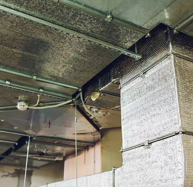 Why Homeowners & Businesses Trust Us in Eastpointe, MI?